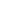 Husky dog with paw