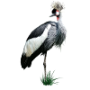 Crown crane