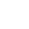 Practical shooter