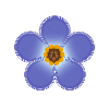 forget Me Not