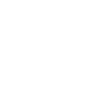 2020 linie
