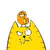 Chat