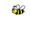cute bee shirt