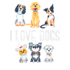 Dog dog lover