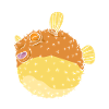 Pufferfish