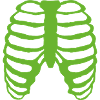Ribs design