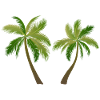 palm tree palm palms