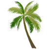 palm tree palm palms