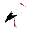 Storch steht
