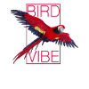 Red Parrot - BIRD VIBE