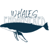 Whale endangered - wildlife