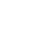 pike