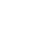 Australian Shepherd