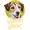 Jack Russell Terrier