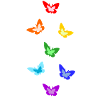 rainbow butterflies; Rainbow butterflies