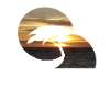 Surfing sunset