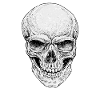 Skull, skull motif