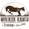 Noriker Ranch Training