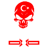 Turkey skull design