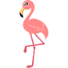 flamingo