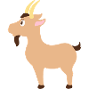 goat