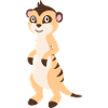 suricate