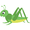 grasshopper