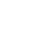 Basset Hound