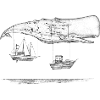 Flying Whale Boats