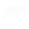 Icebear