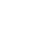 Lyon
