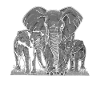 Famille d'éléphants