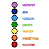 The 7 yoga spirituality chakras