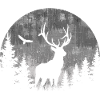 Deer moon