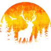 Soleil de cerf