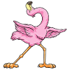 Flamingo doing yoga