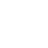 Jellyfish White Cnidarian
