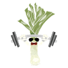 leek