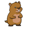 Marmot Shirt Rodent Groundhog Beaver