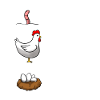 Input Putput Output Chickens Computer Science
