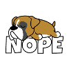 Nope boxer dog