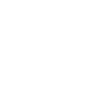 mouette