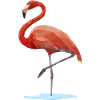flamingo