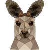 kangaroo