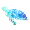 Sea turtle