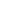 Pi - rat / pirate rat