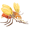 Mosquito, mosquito, mosquito