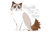 Ragdoll chat maman