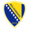 Bosnia coat of arms design