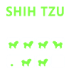 Shih Tzu Stubborn Tricks